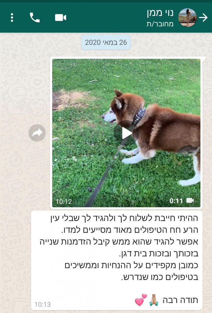 ד"ר יסמין כהן | וטרינרית